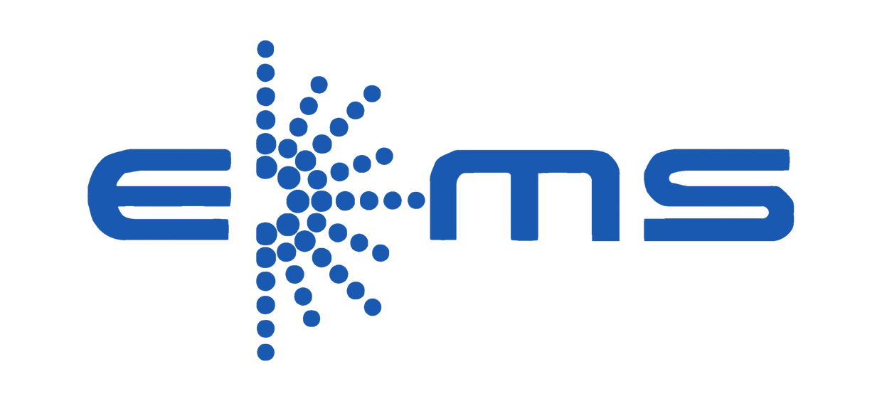Digital transformation, Professional services, Consultancy and support, Customer Success