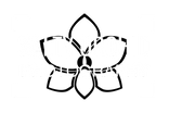 Salty Orchid Photography