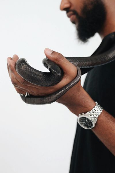 Man holding a black snake gently in his hands.