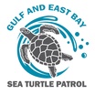 GULF AND EAST BAY sea TURTLE PATROL