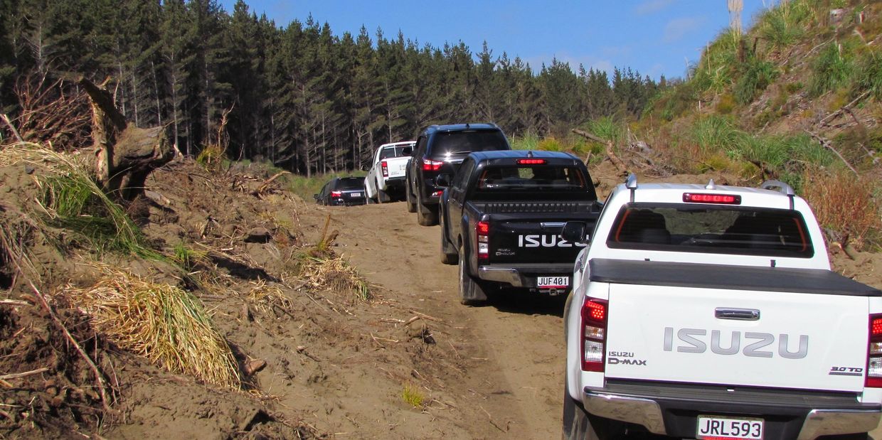 A convoy of pickup trucks on a dirt road near a forest.
