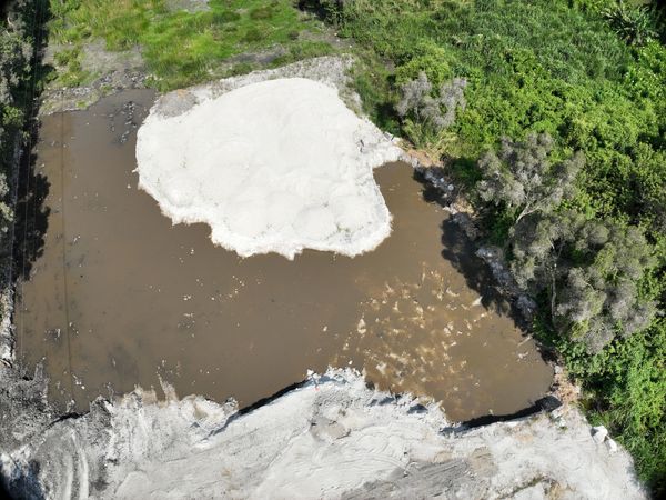 A muddy pond with white patches surrounded by greenery.