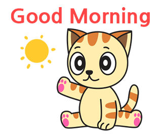 good morning cat