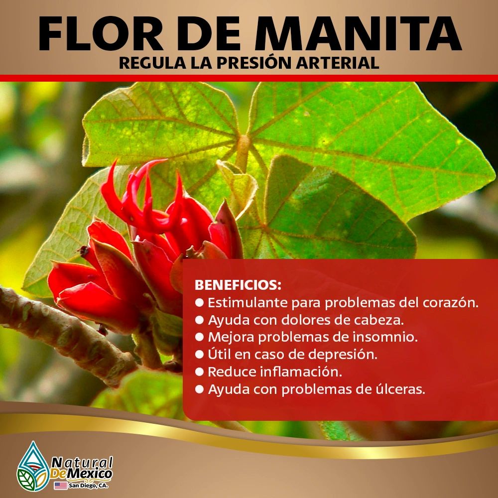 FLOR DE MANITA HIERBA/ 2 bolsas