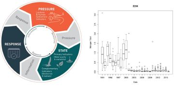 environmental water assessment consultants Clearwater-Australia