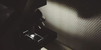 Every batch of spore solution is checked under a microscope for quality control.