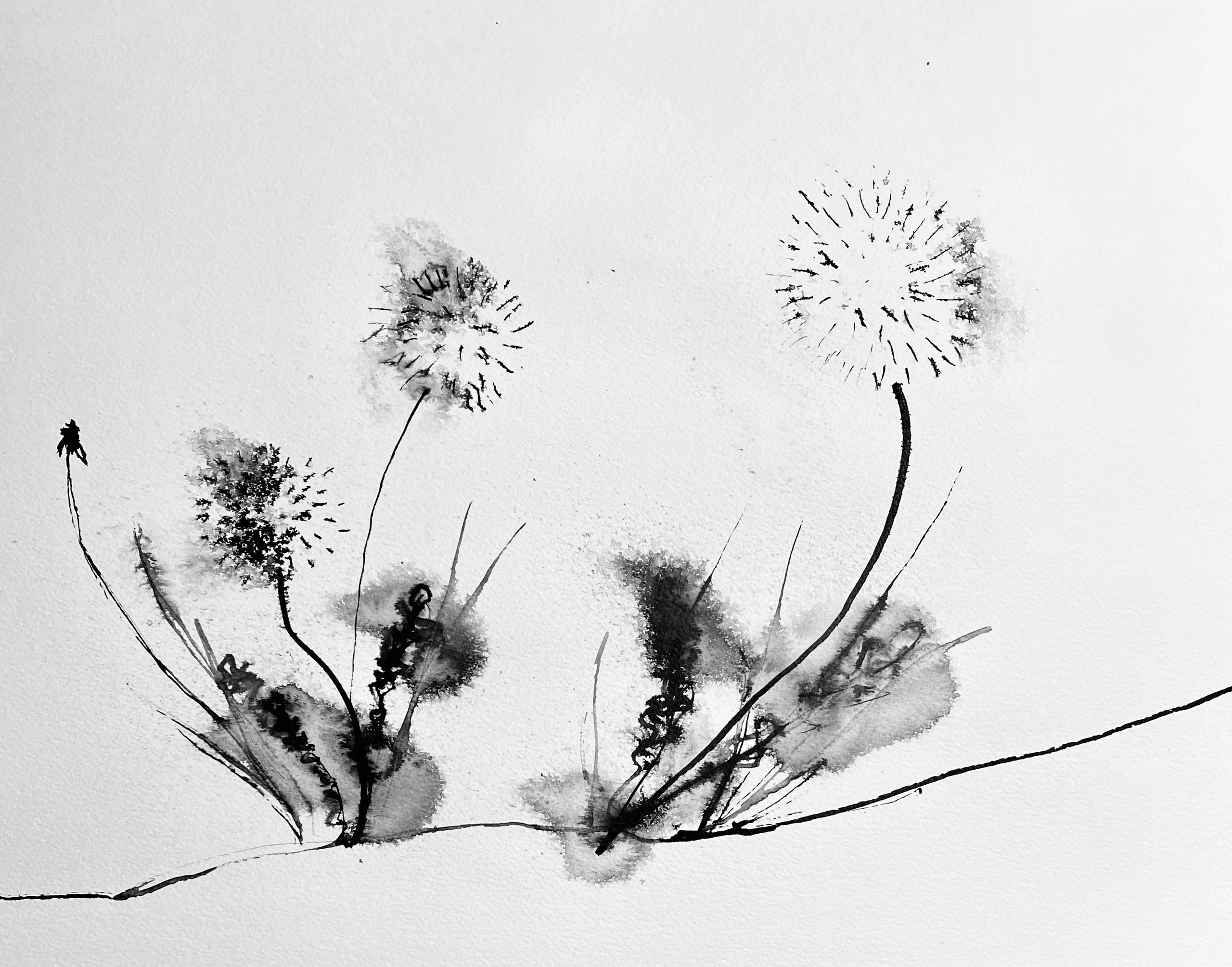 
Tiny flying wishes of hope, patience, and understanding. May they land far and set roots