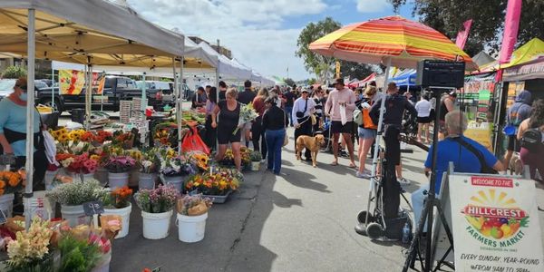 Busy outdoor farmers market with colorful flowers and shoppers.