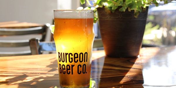 A glass of Burgeon Beer Co. beer on a wooden table with sunlight.