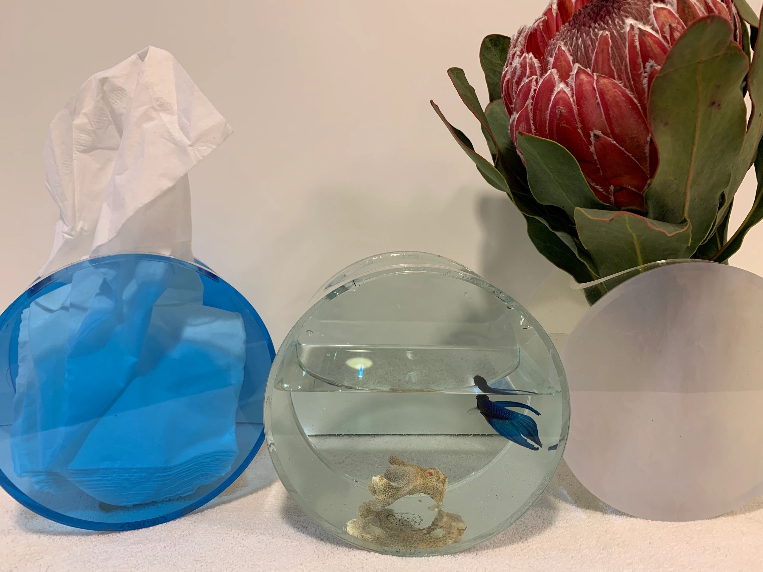 Tissque (tm) has 3 functions: 1. Tissue holder/dispenser 2. Mini aquarium 3. Vase