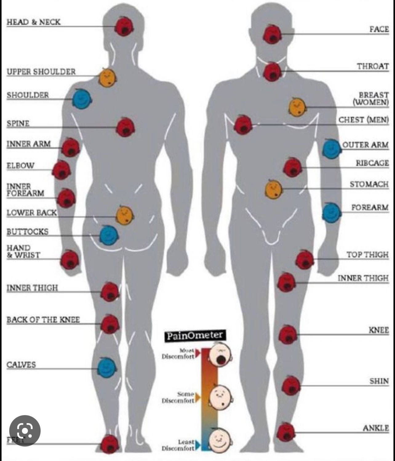 Tattoo Pain Chart Male and Female Where Does it Hurt the Most and  Least  Sorry Mom  Sorry Mom Shop