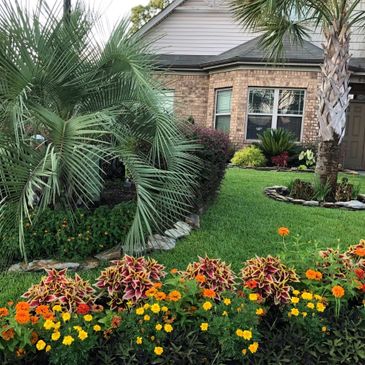 Well-maintained garden with colorful flowers and palm trees in front of a brick house.
