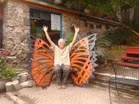 Monarch Butterfly Expert