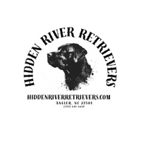 Hidden River Retrievers
(919) 601-6610

taking reservations for N