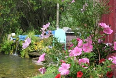 A spring in your backyard