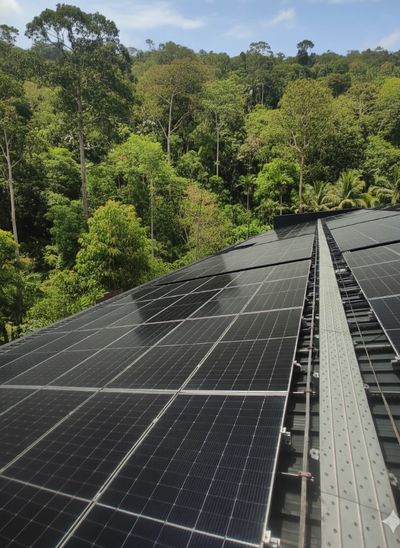 Solar panels installed on a rooftop near a lush green forest.