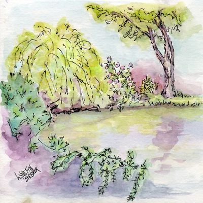 Watercolour and ink painting of trees with reflections in pond Canadian fine artist Lynette Stebner