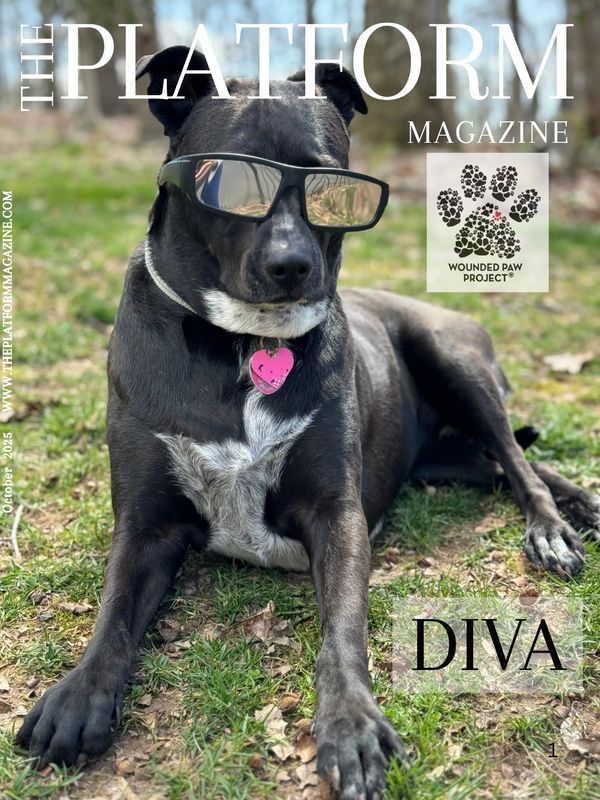 Honoring the human–animal bond through rescue, advocacy, and stories of healing and hope.