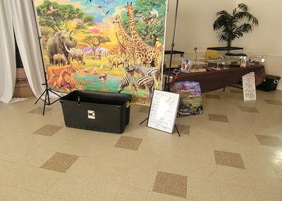 The experience of a lifetime.  Some of the worlds largest animals for your viewing pleasure