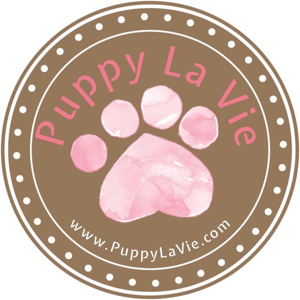 Welcome to Puppy La Vie! Puppy Shop
Specializing in toy breed puppies & unique accessories 