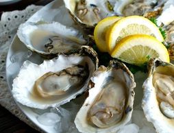 Salty boby's oyster and seafood, mobile food, vendors, virginia, events