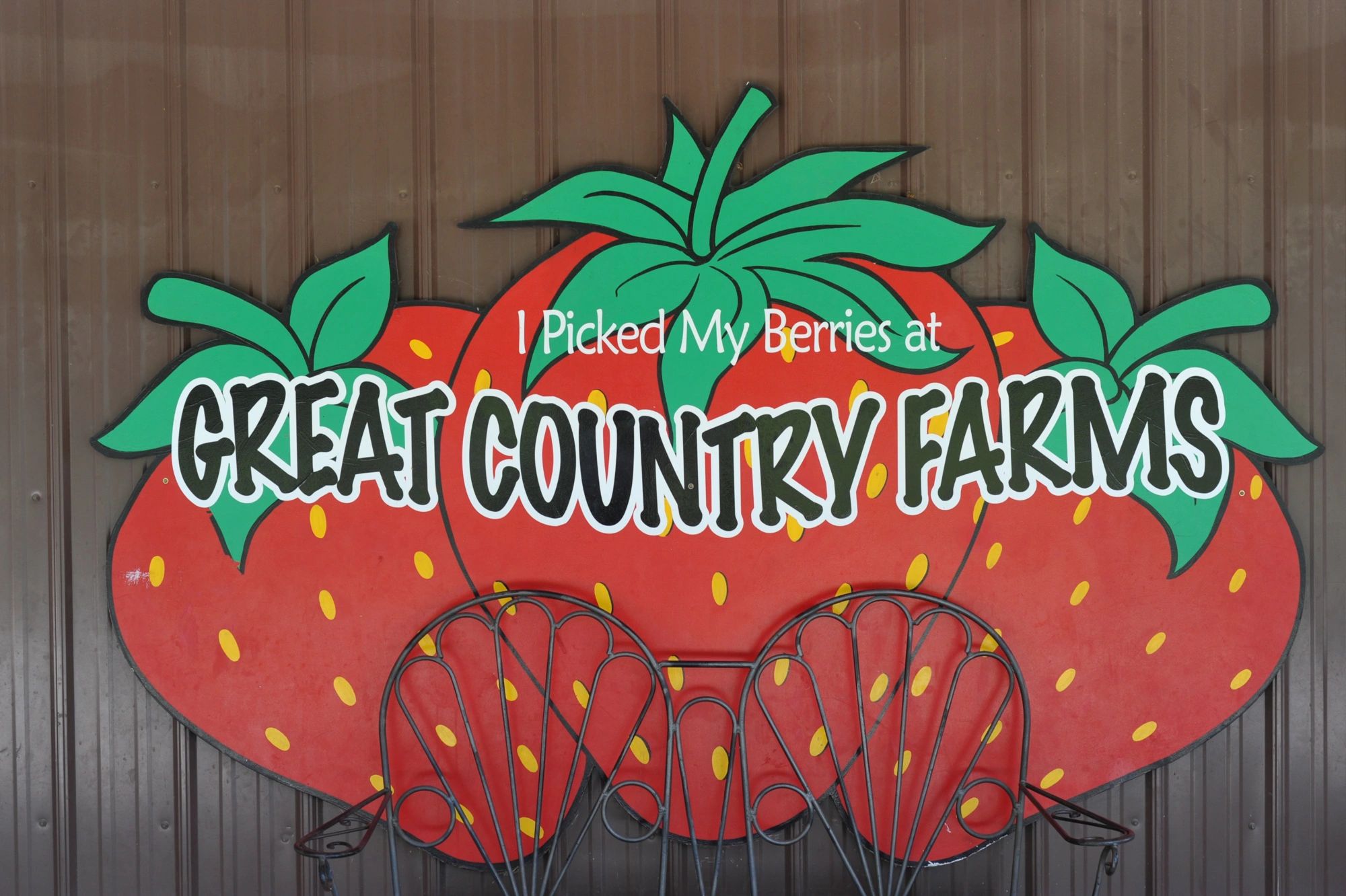 Sheplee Series Strawberry Jubilee Festival at Great Country Farm