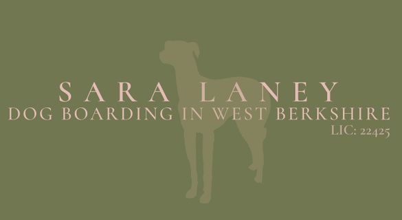 





Sara Laney

Dog Boarding in 
West Berkshire



