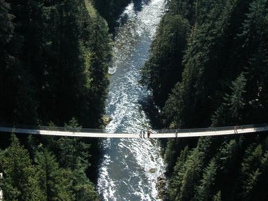 Gray Line West Coast Sightseeing Grouse Mountain Capilano Suspension Bridge Park Tour