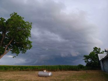 Photo by Jessica Repa