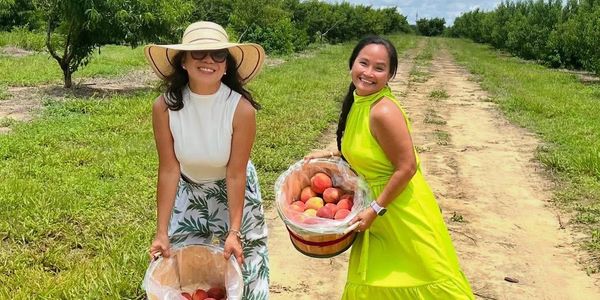 Two women happily holding baskets of peaches in an orchard on a sunny day.