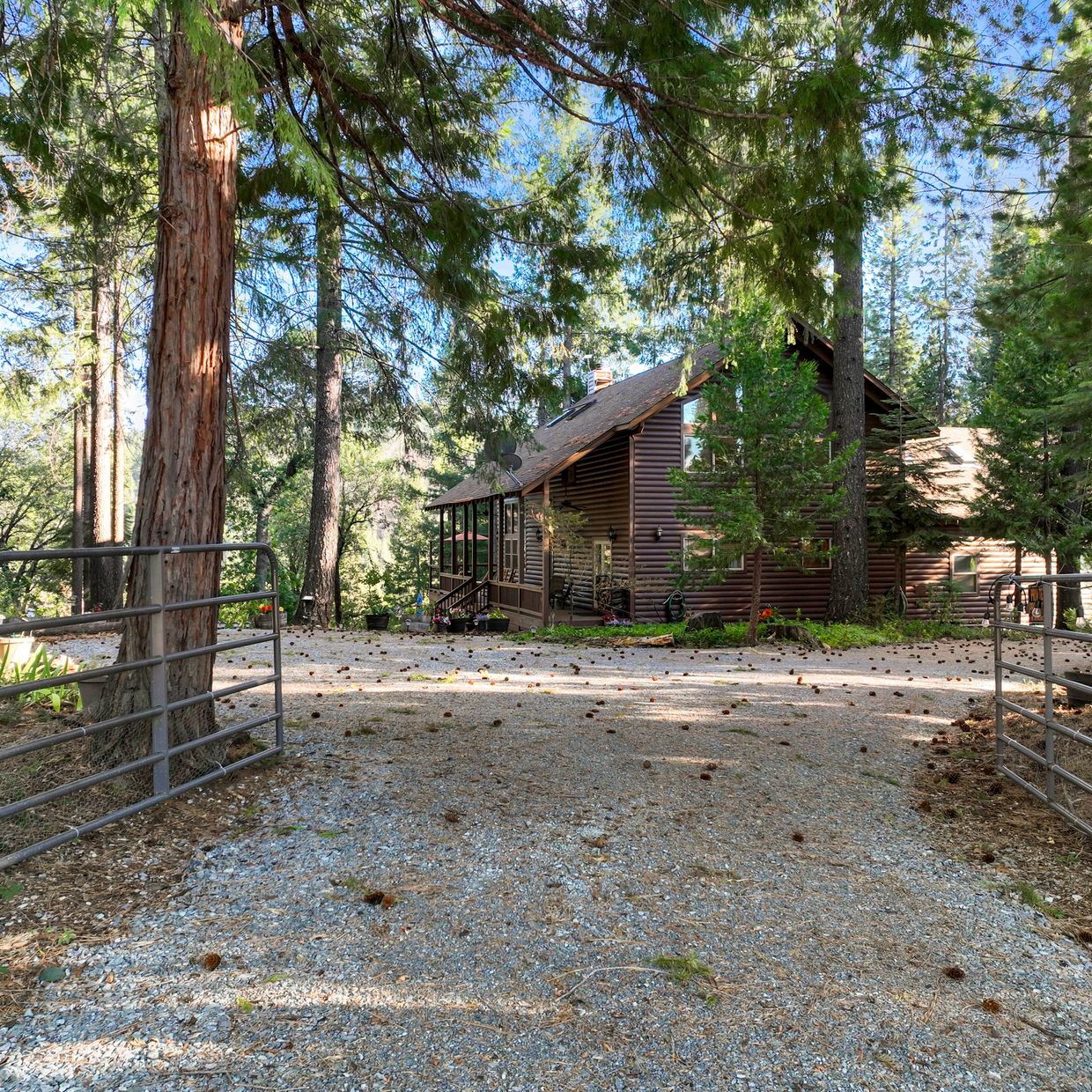 Log cabin surrounded by trees and a gravel driveway.