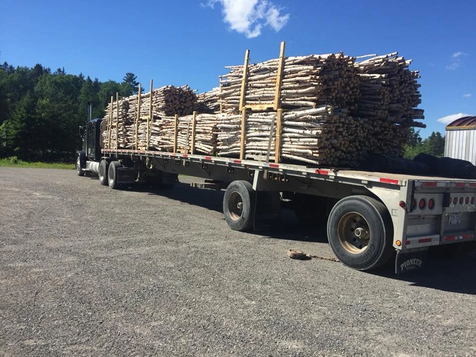 Buy Decorative Birch Products