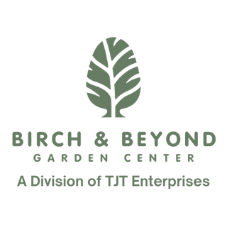 Birch & Beyond