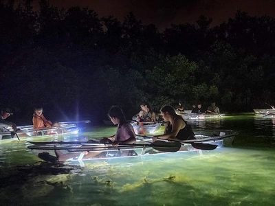 guided kayak tours anna maria island