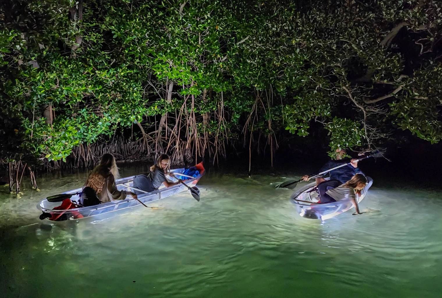 //img1.wsimg.com/isteam/ip/8f32708a-8d15-47b5-a38c-b3bacffa90ce/Clear%20kayak%20paddle%20led%20night%20tours%20sarasota%20a.jpeg/:/rs=w:1300,h:800