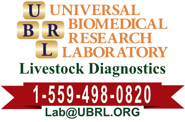 ubrl.org