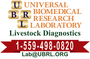 UBRL
