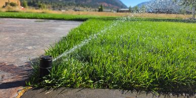 Lawn sprinkler system watering green grass in Star Valley, Wyoming
