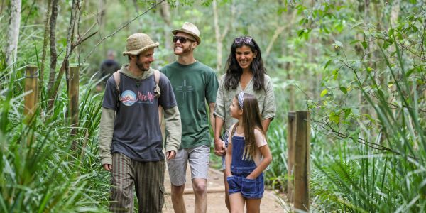 Four people happily walking on a forest path surrounded by greenery.