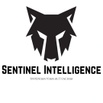 Sentinel Intelligence and Investigations