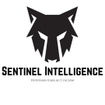 Sentinel Intelligence and Investigations