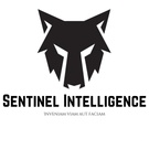 Sentinel Intelligence and Investigations