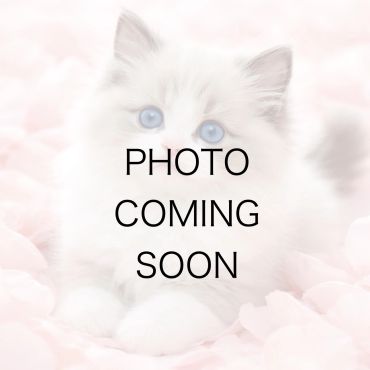No photo available, placeholder image with text.