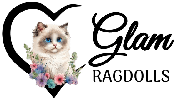 Glam Ragdolls