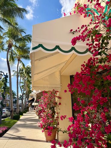 Sidewalk with palm trees and vibrant pink flowers under a bright sky.