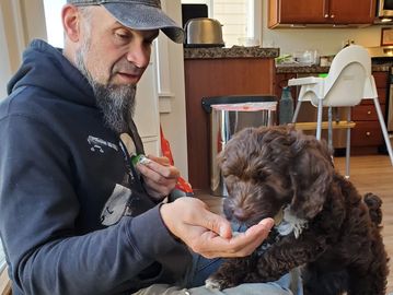 Puppy Training