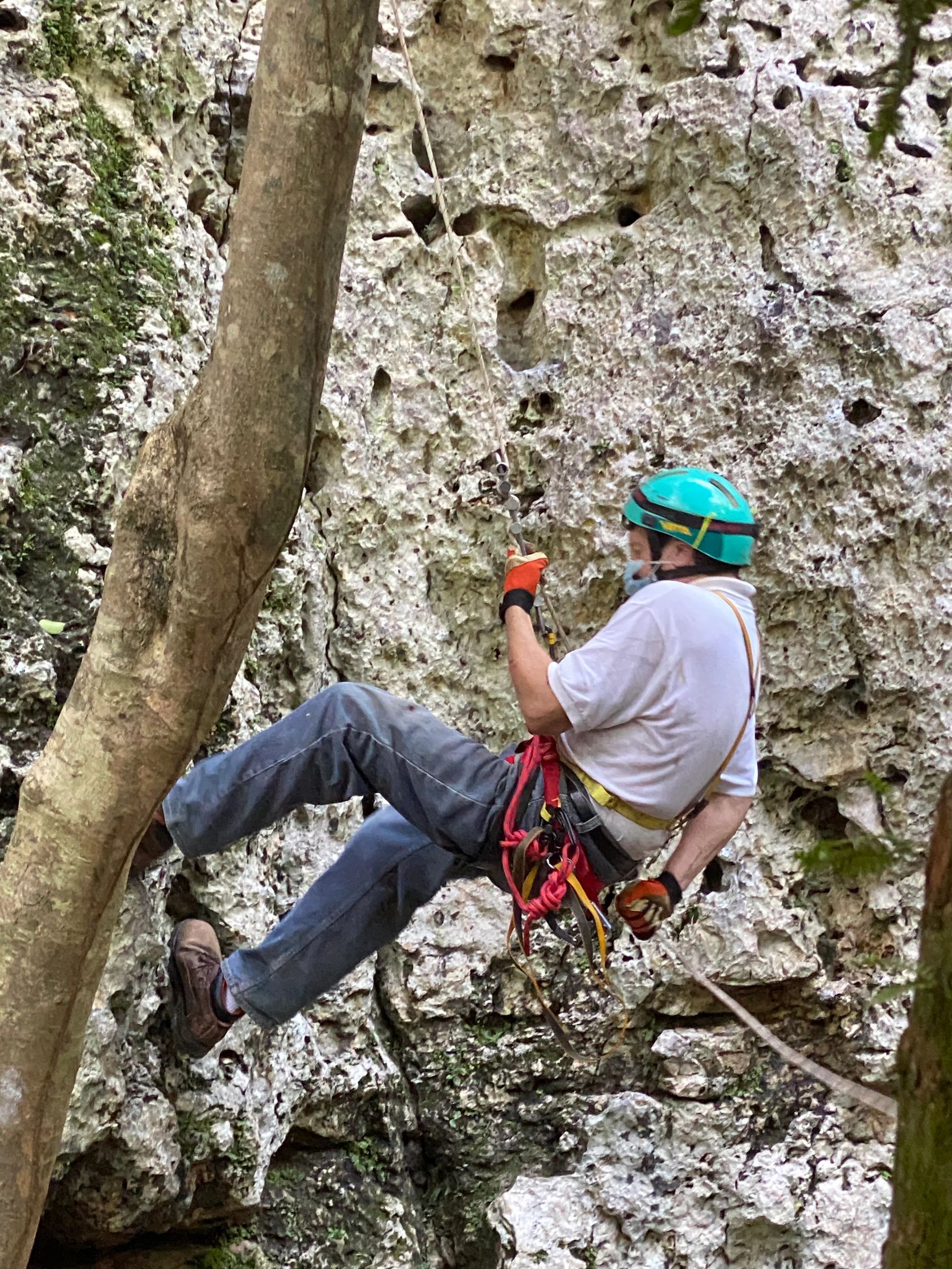 Adiestramiento de ascenso y descenso en  Cuevas y Sumideros