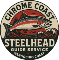 Chrome Coast Steelhead - Mendocino,ca
