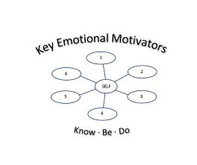 Key emotional motivators                       