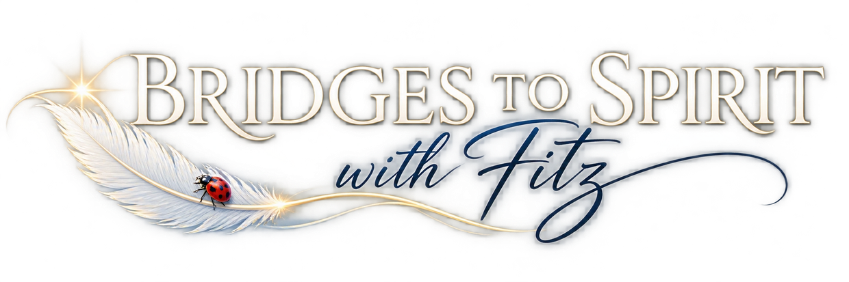 Logo for Bridges to Spirit with Fitz featuring a feather and ladybug.